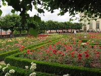 Fürstbischöflicher Palast - Rosengarten