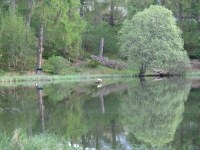 Loch Imrich