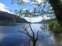 Highlands - Loch Lomond