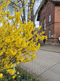 Osterschmuck 2025