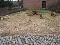 Ehemaliger Standort der Kastanie