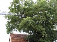 Feuerwehreinsatz in der Sömmerdaer Straße