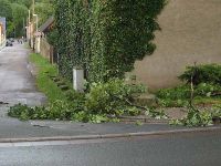 Abgebrochene Äste in der Sömmerdaer Straße