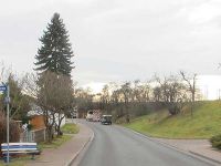 Baumfällarbeiten am 1.12.2011