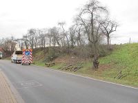 Baumfällarbeiten am 1.12.2011