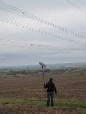 Es knistert unter der Leitung