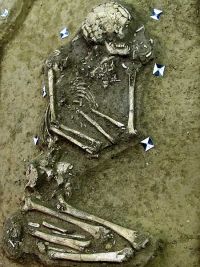 freigelegtes Skelett