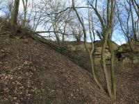 Sturmschäden im Steinbruch