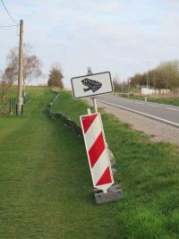 Krötensschutzzaun 2019