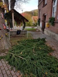 Winterliche Minzebank