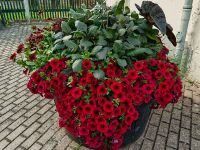 Kübel in Richtung Vieselbach