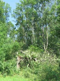 Unwetterschäden in Hochstedt