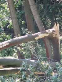 Unwetterschäden in Hochstedt