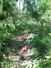 Unwetterschäden in Hochstedt