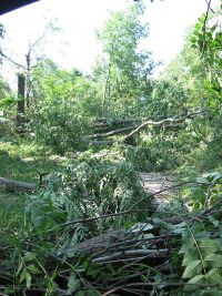 Unwetterschäden in Hochstedt