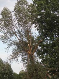 Unwetterschäden in Hochstedt