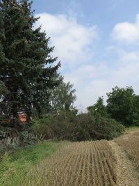 Unwetterschäden in Hochstedt