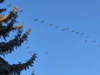 Winter im Januar 2026