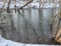 Winter im Januar 2026