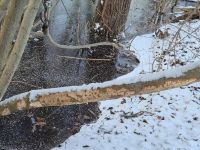 Winter im Januar 2026