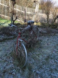 Winter im Januar 2026