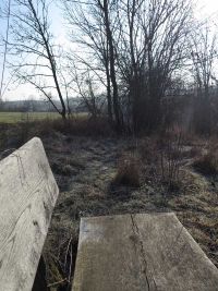 Winter im Januar 2026