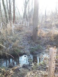 Winter im Januar 2026