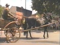 Pferdewagen aus Magdala