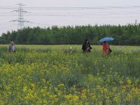 Zum Bahnhof Vieselbach