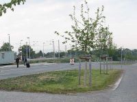 Am Bahnhof Vieselbach