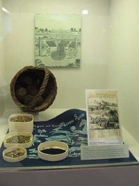 Hochstedter Waidballen