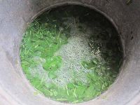 Waidblätter mit kochendem Wasser übergießen