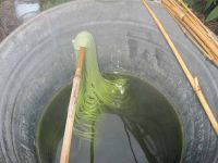 Herausnahme der Wolle