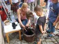 Bepflanzen mit Waidsamen