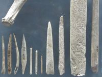 Nadeln aus Knochen im Museum für Ur- und Frühgeschichte Thüringens in Weimar