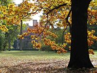 Abstecher zum Schloss Cecilienhof