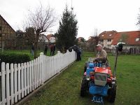 Der zukünftige Weihnachtsbaum