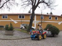 Der zukünftige Weihnachtsbaum