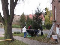 Weihnachtsbaumaufstellen