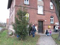 Anputzen des Weihnachtsbaums