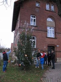Anputzen des Weihnachtsbaums