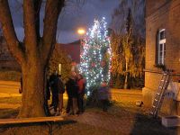 Anputzen des Weihnachtsbaums