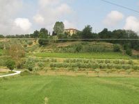 Auf der Küstenstraße