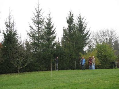 Weihnachtsbaumsetzen