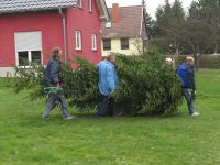 Weihnachtsbaumsetzen