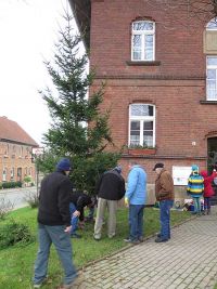 Weihnachtsbaumsetzen