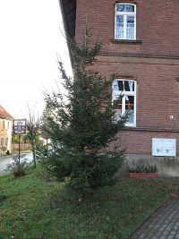 Weihnachtsbaumsetzen