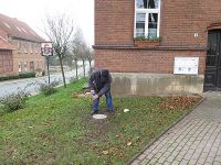 Weihnachtsbaumsetzen