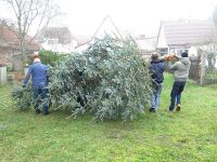 Weihnachtsbaumsetzen