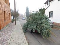 Weihnachtsbaumsetzen